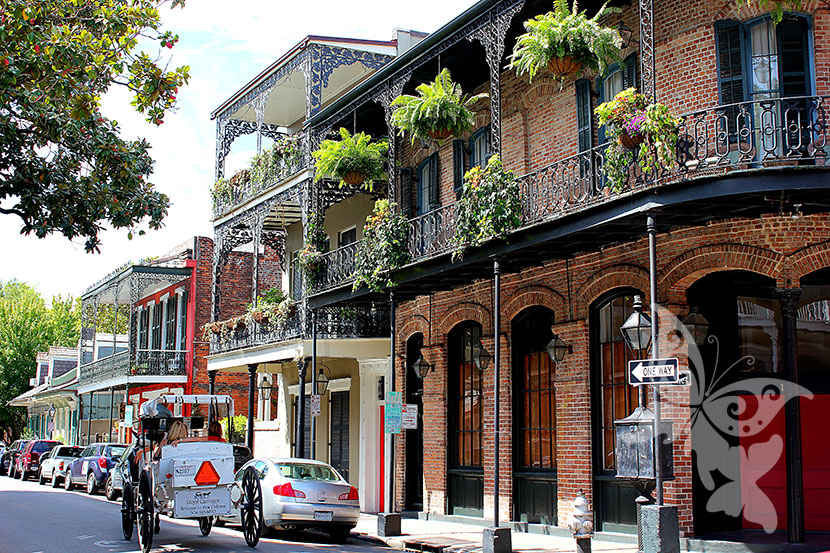 french-quarter